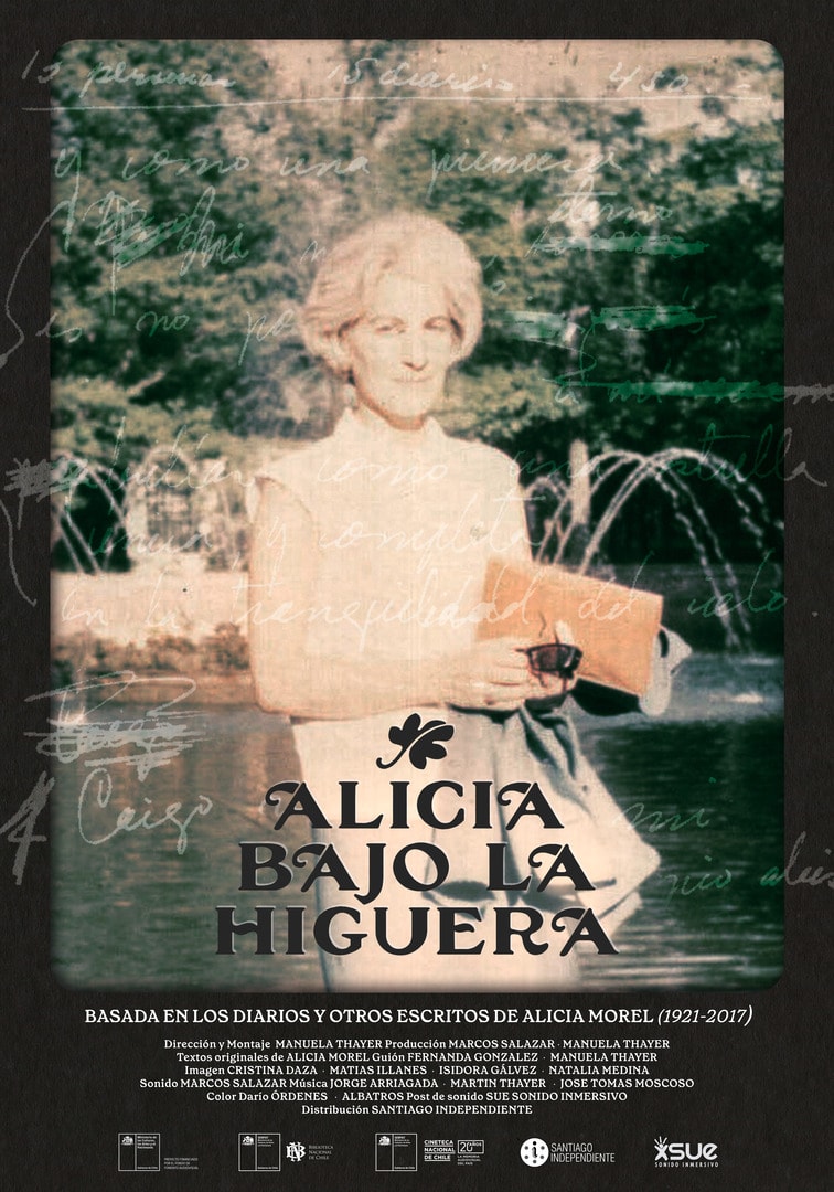 Afiche de Alicia bajo la higuera